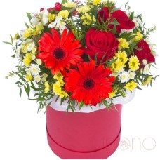 Spring Resplendence Arrangement (Regular)